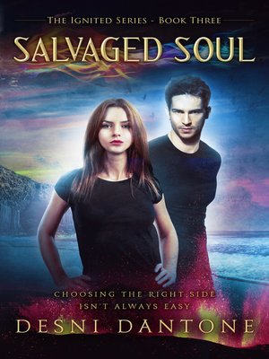 cover image of Salvaged Soul